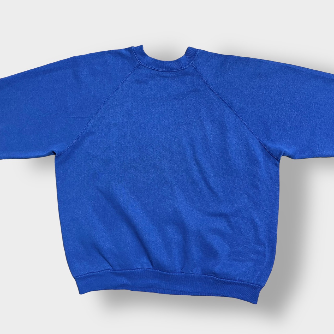 Better Basics by tultex 80s 90s USA製 プリント スミソニアン博物館 スウェットシャツ トレーナー プルオーバー ブルー ラグランスリーブ ユニセックス XL ヴィンテージ  ビンテージ オールド US古着