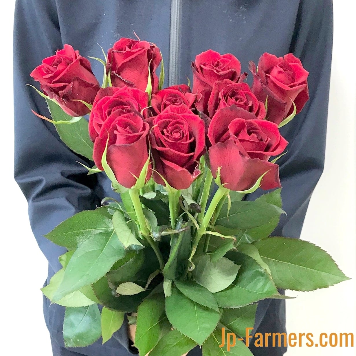 国産赤バラ50本！ 品種はこちらにお任せ 60㎝以上 | 新鮮お花問屋