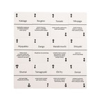 Lingo Playing Cards "Japanese Street Food Cards"/トランプ/カードゲーム/日本食/お土産