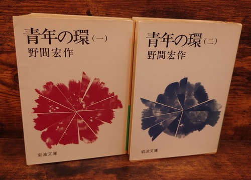 青年の環　第1巻、第2巻　2冊セット＜岩波文庫＞
