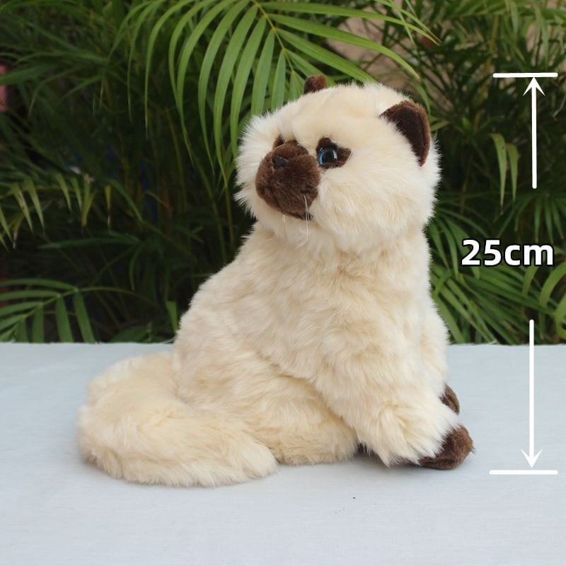 ☆ヒマラヤン☆ ぬいぐるみ・ | ぬいぐるみ専門店 くろにゃん