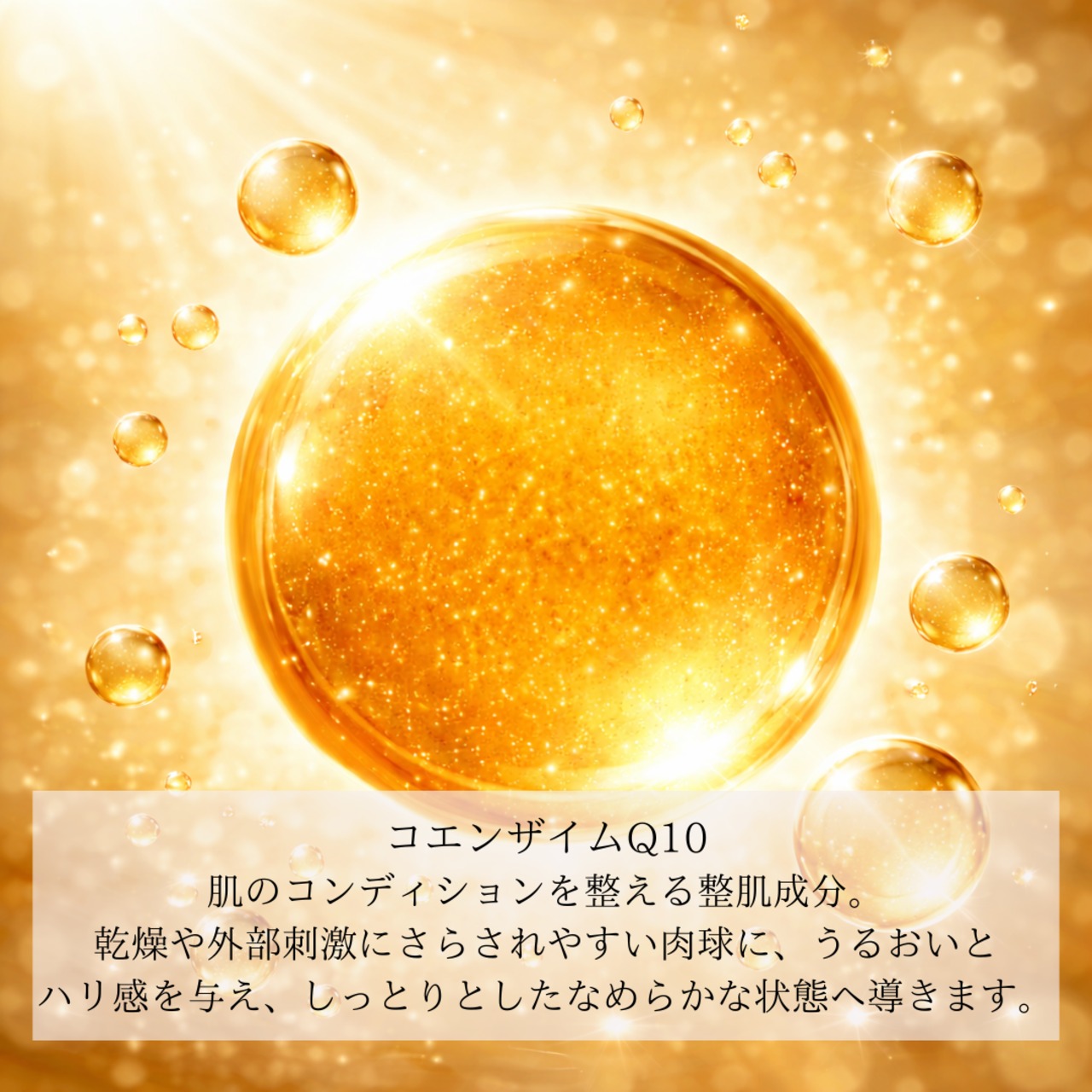 9/1より 肉球クリームプチギフトセット (1g×12p)無香料