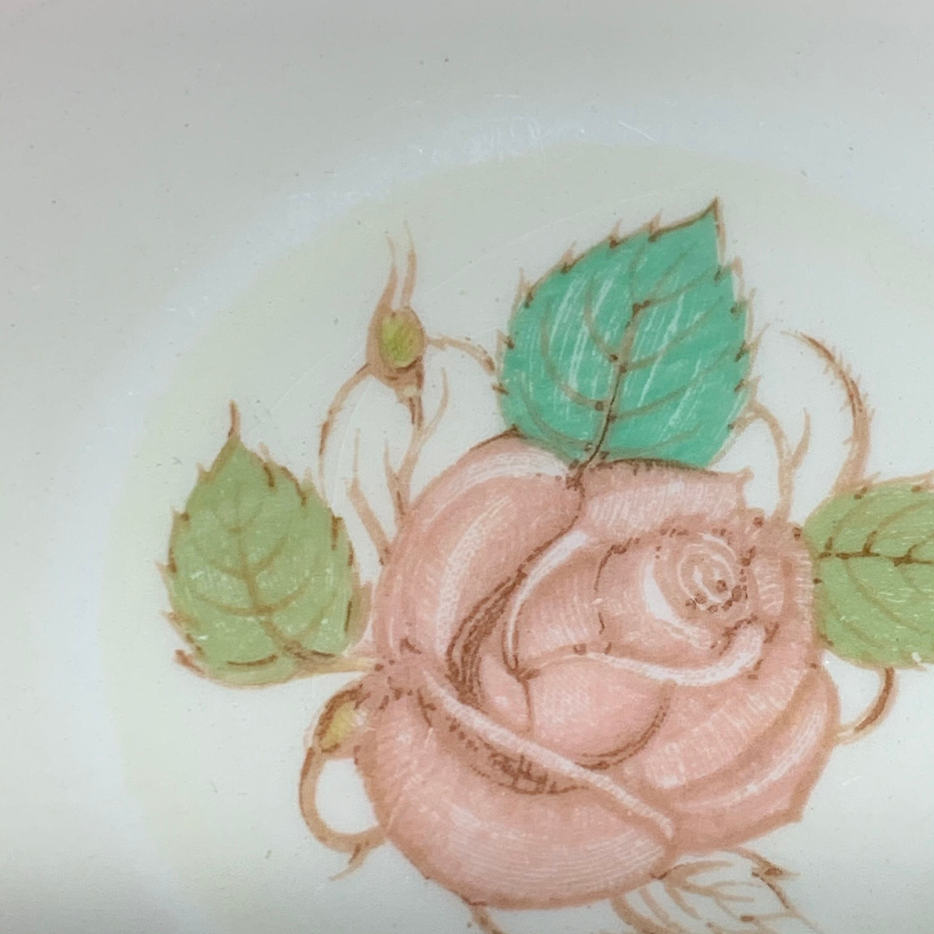 スージークーパー「パトリシアローズ カップ＆ソーサー(ピンク