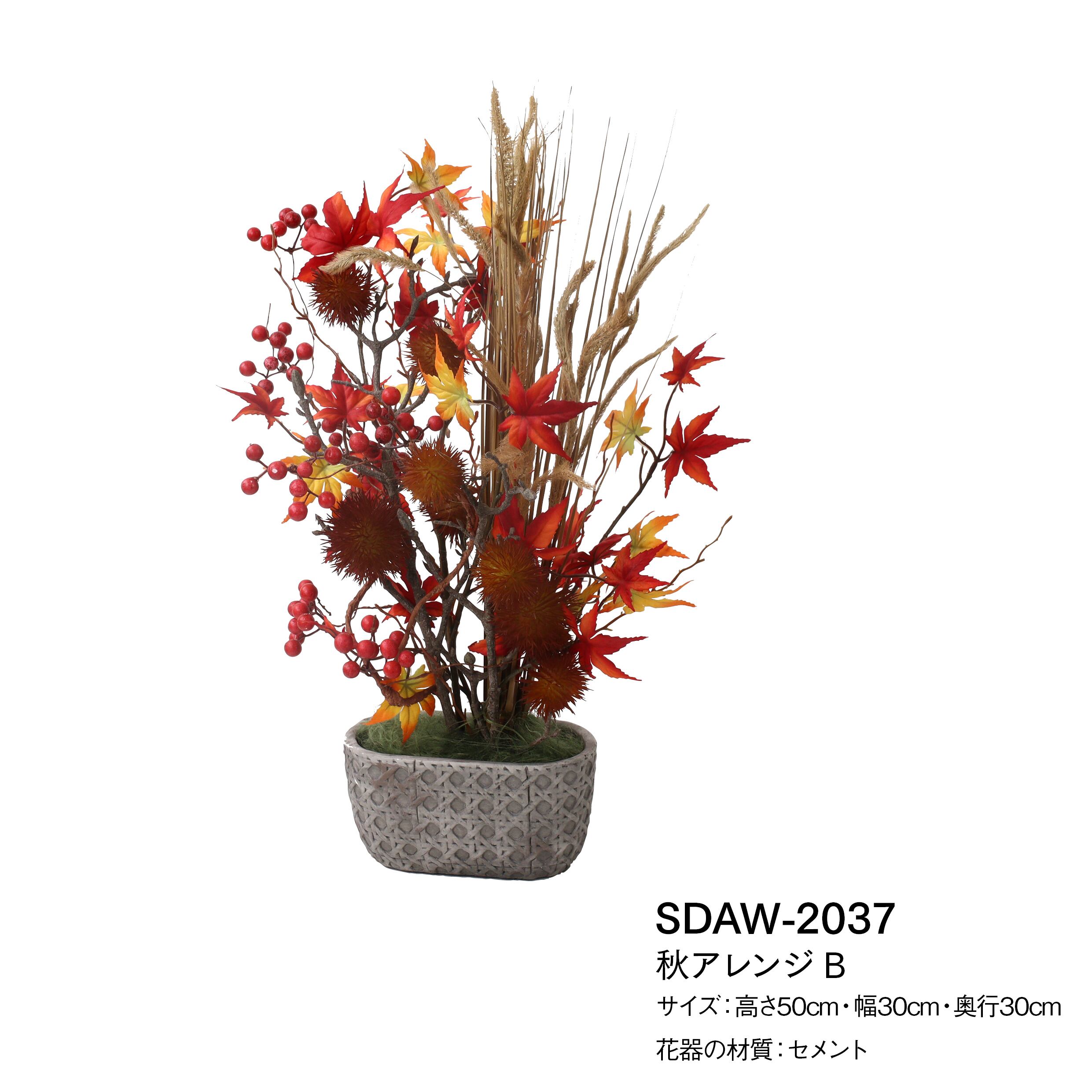 アキアレンジＢ