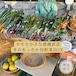 【提携農家コラボフェア】モモと小さな農園直送!冬のあったか旬野菜BOX