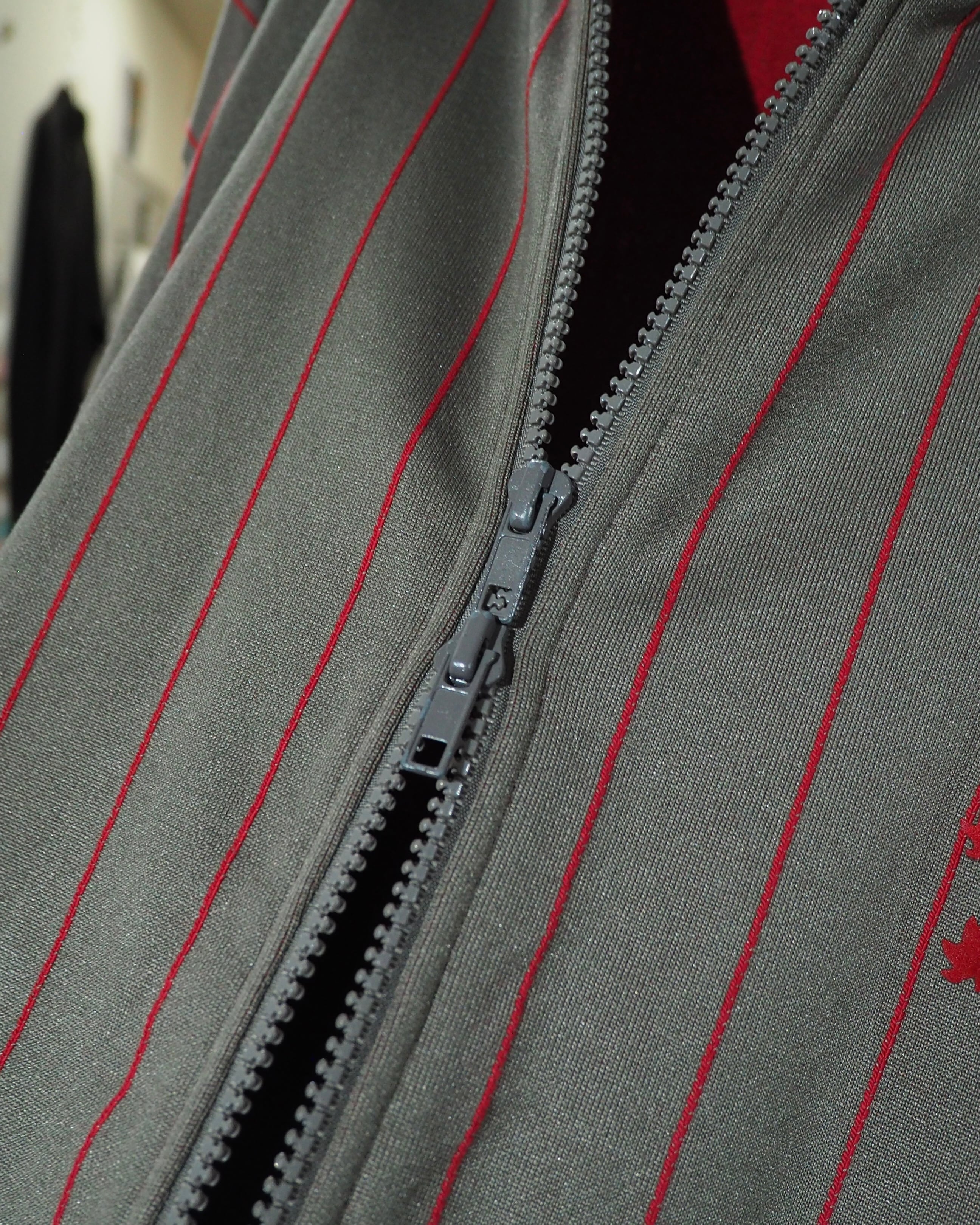 1980 - 90s Flocky Lion × Line Embroidery vintage Track jacket