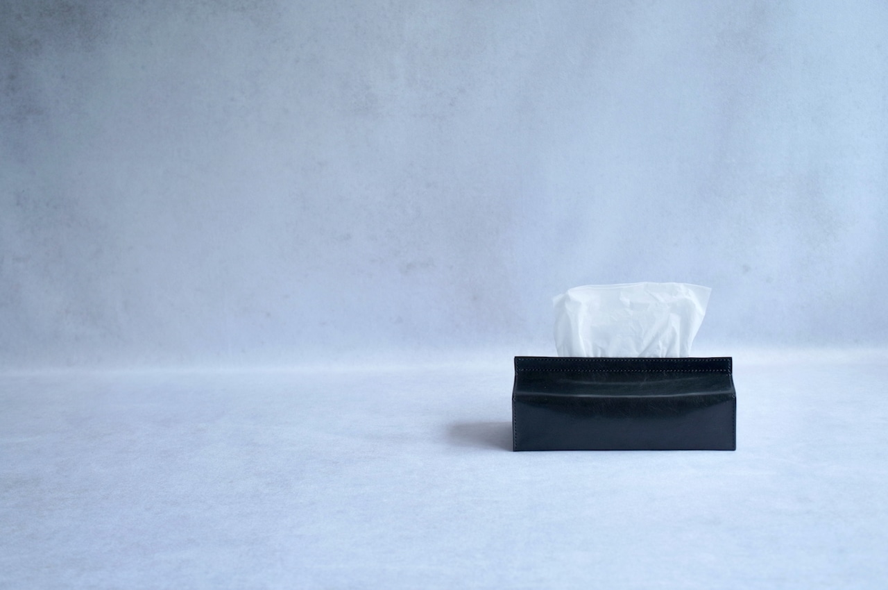 HP BOX TISSUE COVER 01 GLOSSY BLACK