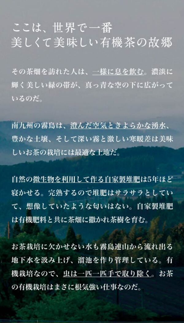 オーガニック抹茶 & 緑茶 ティーバッグ 各15袋セット 農薬不使用 化学肥料不使用