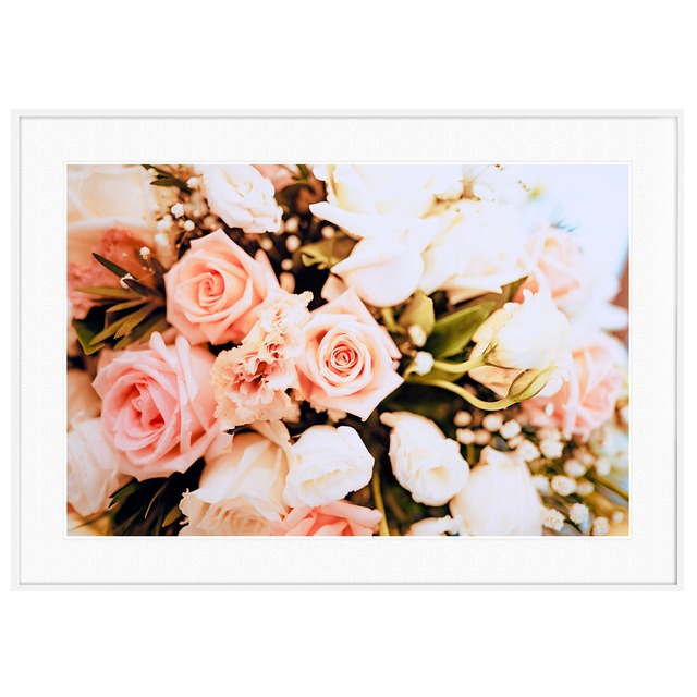 花写真 ピンクのバラ インテリアアートポスター額装 AS0618