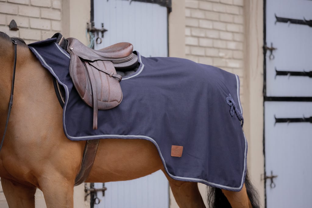 PADDOCK Classic Rain パドック エクササイズシート［お届け目安：2〜3