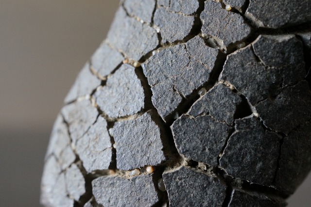 ゴビ砂漠産亀甲石　Gobi Turtleback Stone