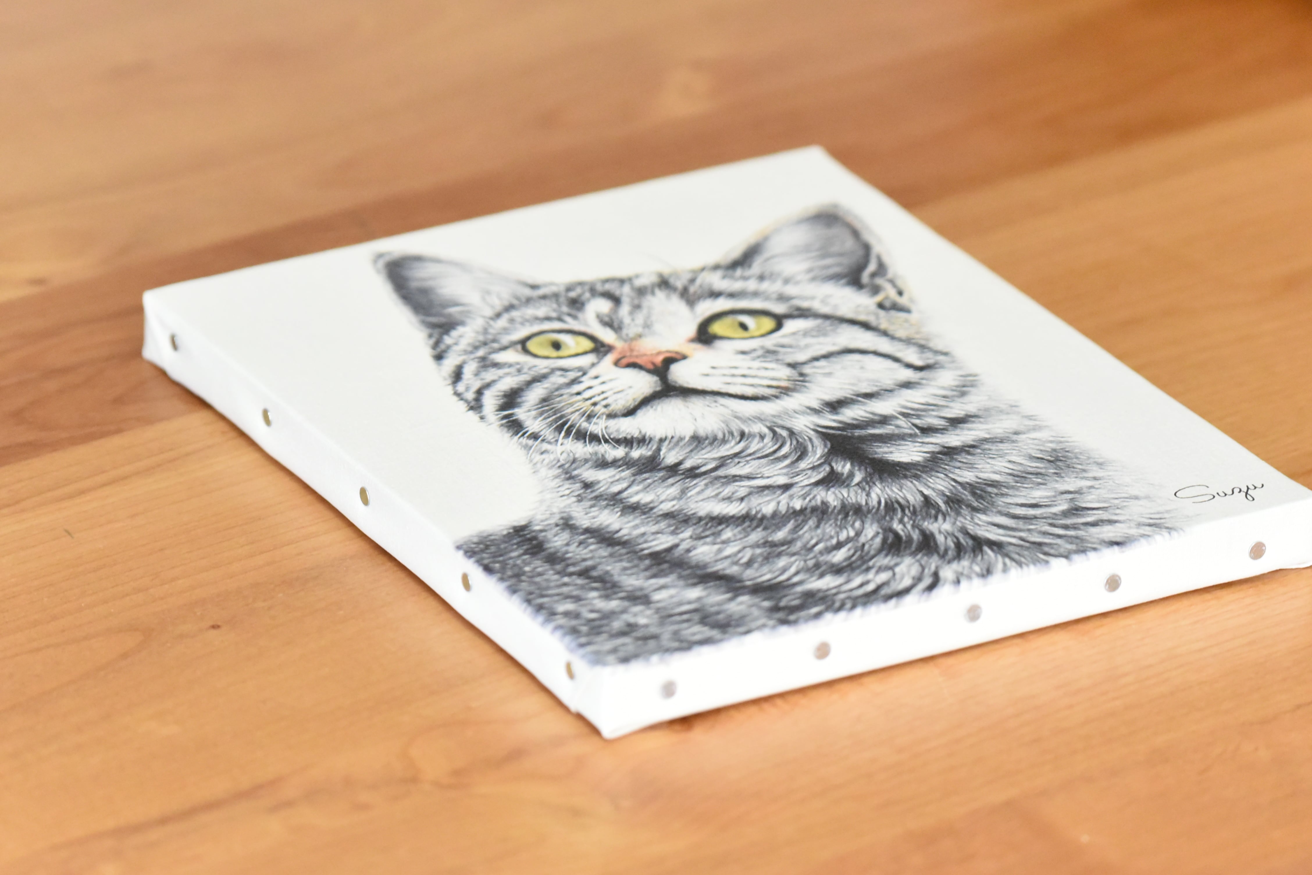 色鉛筆画猫_縦［F3号キャンバスプリント複製］