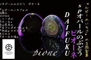 12個入り【　SPオパールのぶどう　皮ごとピオーネ　6個入り×2箱　】※配送日時指定必須【フルーツ大福】ピオーネ6個　出雲よしおかジュエリーボックスSPオパールのぶどう DAIFUKU　島根県出雲市のフルーツ大福