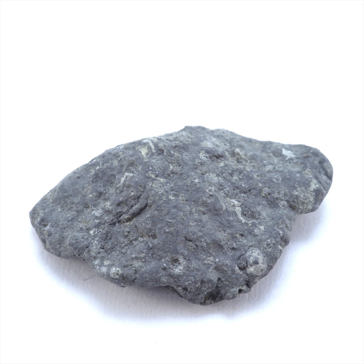 炭素質！アエンデ隕石　エンドカット　標本 アエンデ 隕石 2.3g 炭素質コンドライトCV3 石質隕石 原石 標本