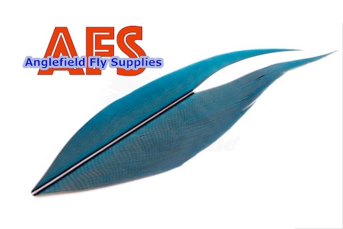 【 AFS 】Macaw Side Tail Blue-Yellow