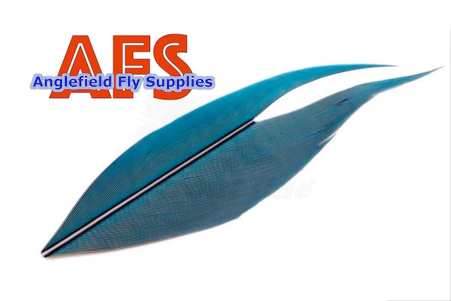 【 AFS 】Macaw Side Tail Blue-Yellow