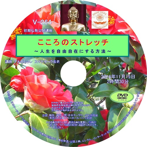 【DVD】V-264「こころのストレッチ」～人生を自由自在にする方法～初期仏教法話
