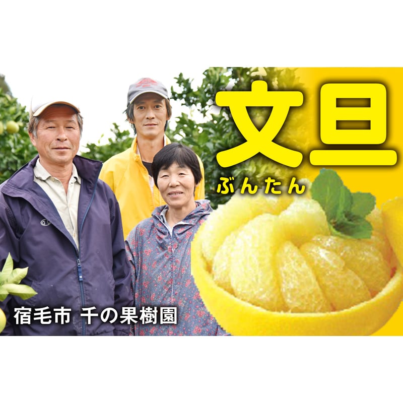 千の果樹園 土佐文旦 家庭用 10kg 高知県産 産地直送