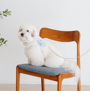 予約【stroll】Soft Walk Harness (Silver)