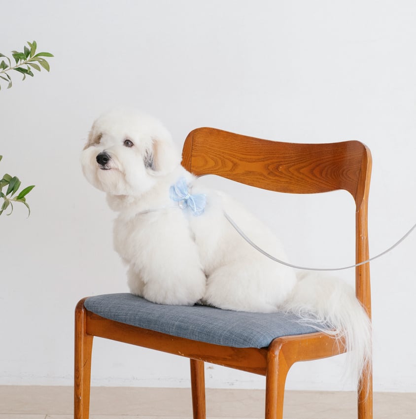 予約【stroll】Soft Walk Harness (Silver)