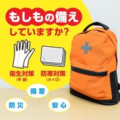 エステー 使いきり手袋 ビニール 極うす手 掃除用 Lサイズ 半透明 100枚 粉なし 使い捨て手袋 左右両用タイプ トイレ掃除 カビ取り 漂白剤の使用時 キッチン掃除 介護 ビニール手袋 使い捨て