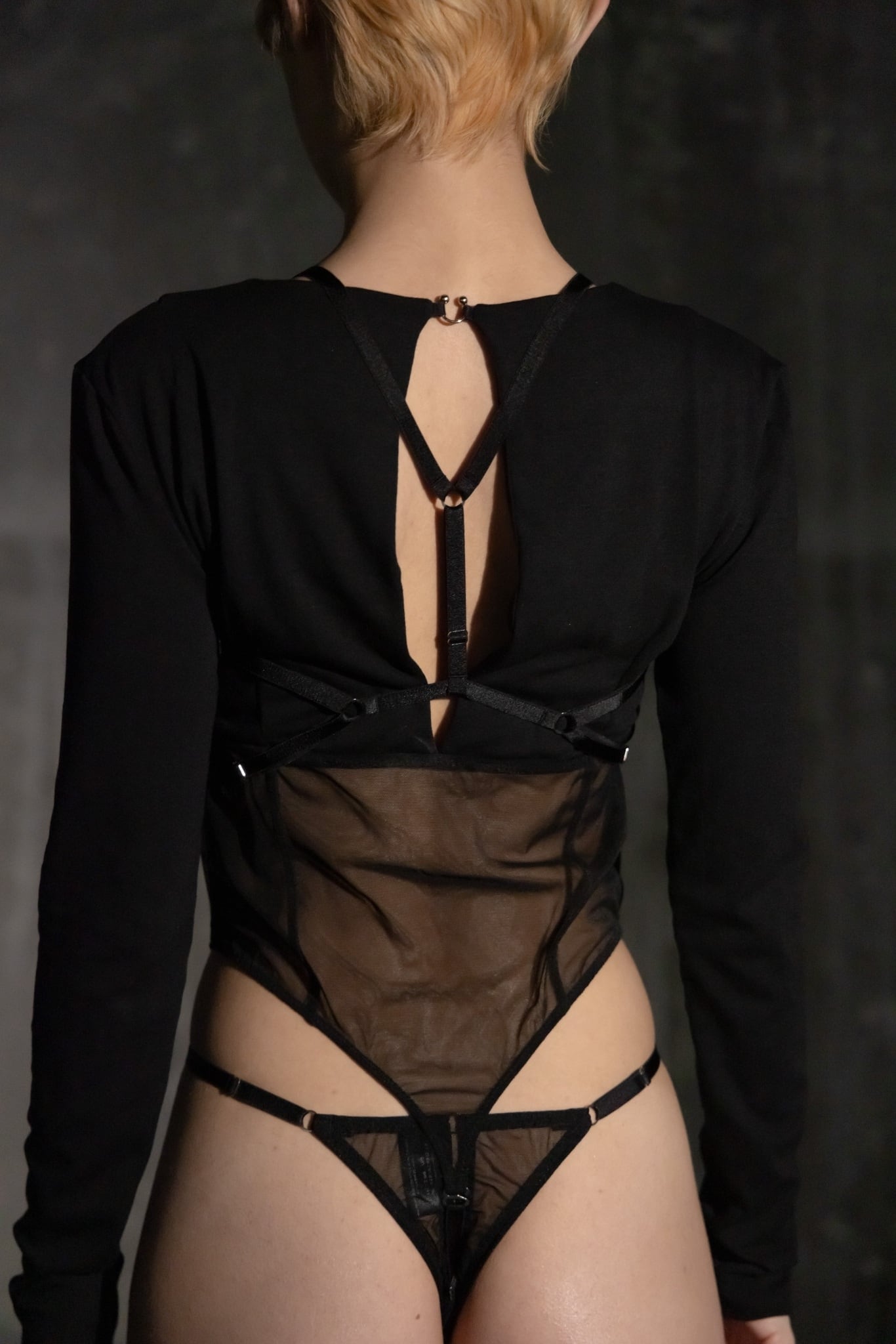 Harness 