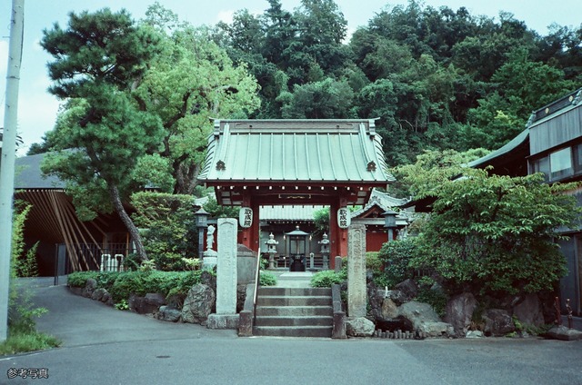 Konica C35 flash matic ホワイト×ブルーライン