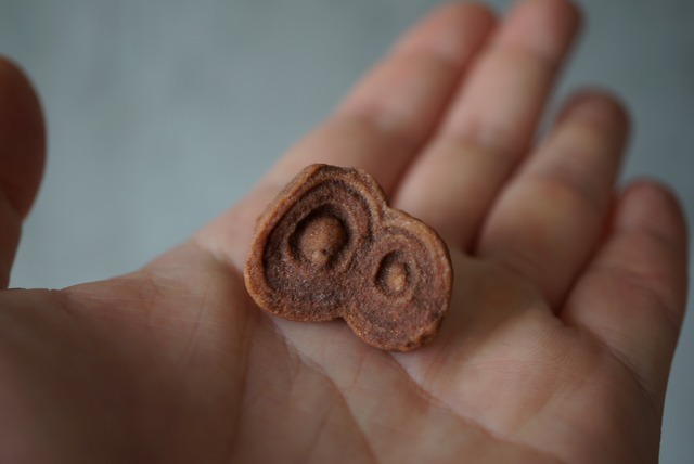 モロッコ産ストロマトライト Stromatolite 1059