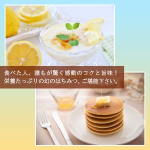 希少0.1％以下！日本ミツバチ蜂蜜100％  120g入り 鹿児島佐多産・幻の原生林で採れたはちみつ｜非加熱・濃厚天然ハチミツ