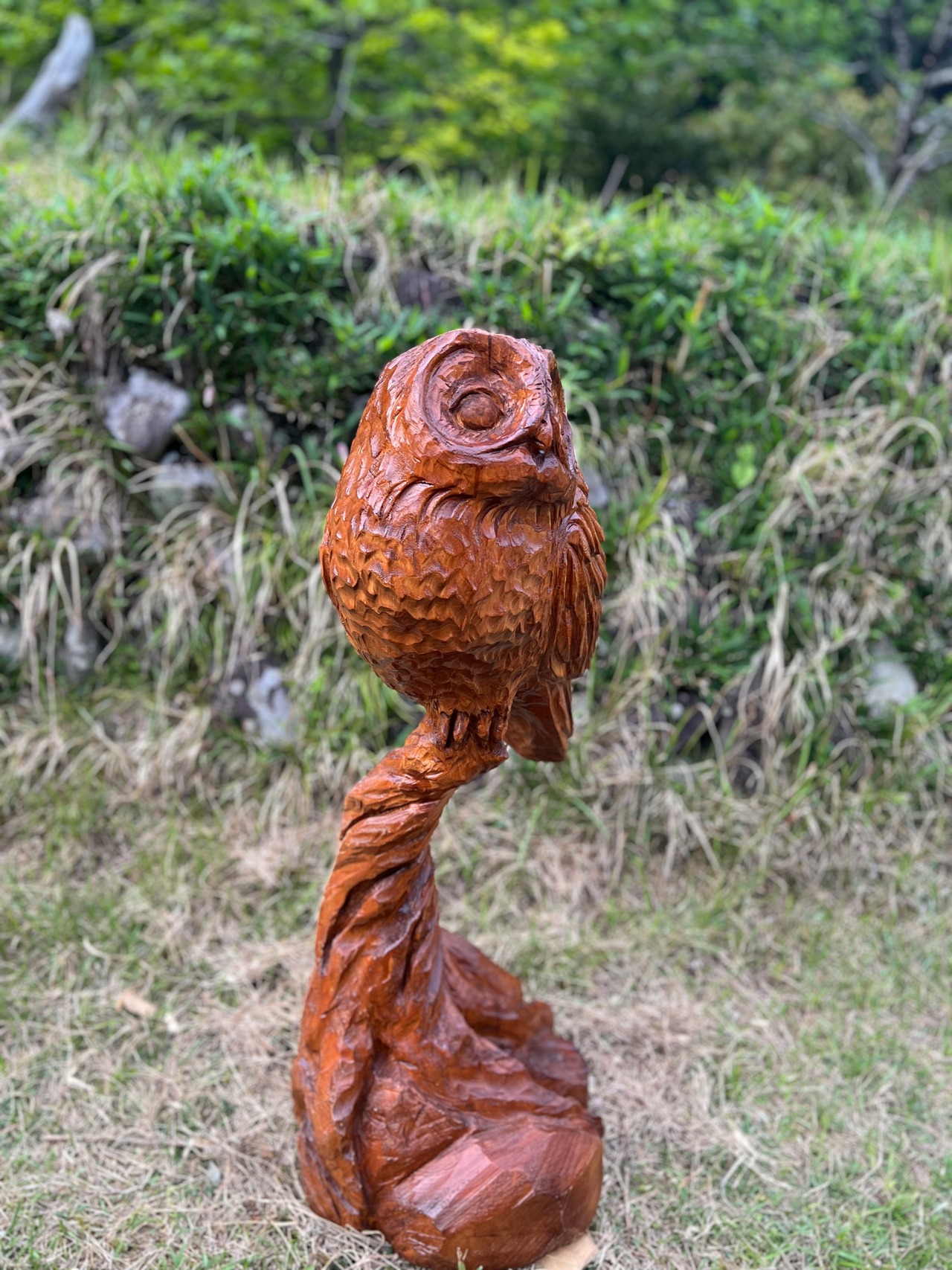 幸福を呼ぶフクロウ