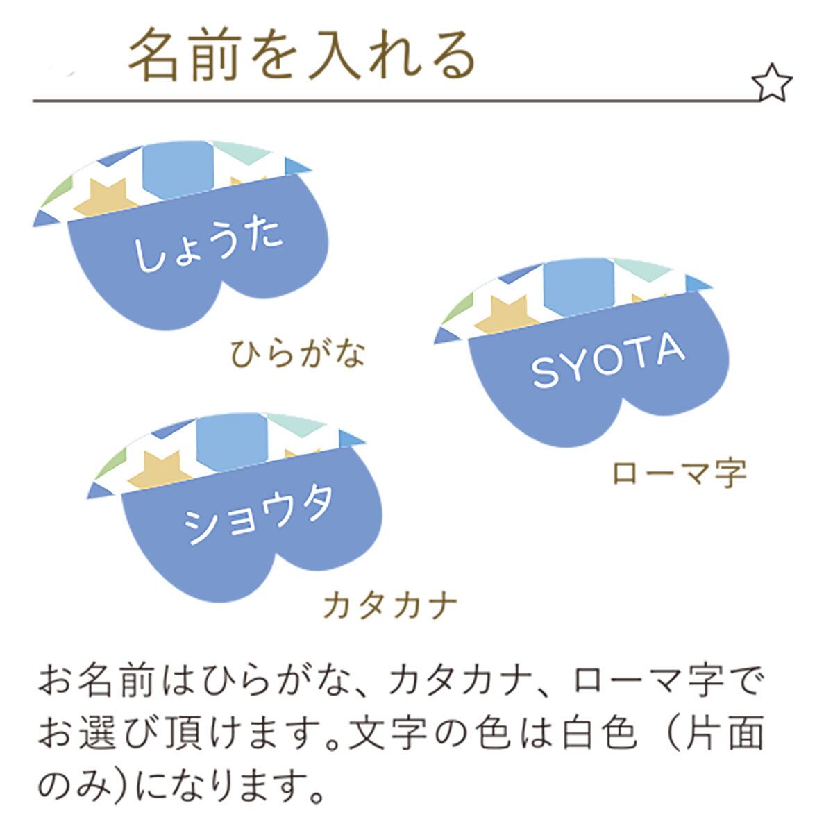 鯉のぼり【Puca】プーカ ＜Lサイズ＞ おしゃれ｜コンパクト｜今どき