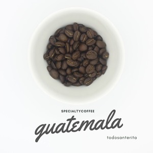 Guatemala todosanterita 400g　コーヒー豆　グアテマラ  トドサンテリタ 中煎り