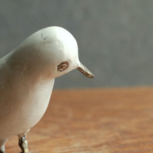 ちらりとこちら見つめる、味わい深い鳥 2