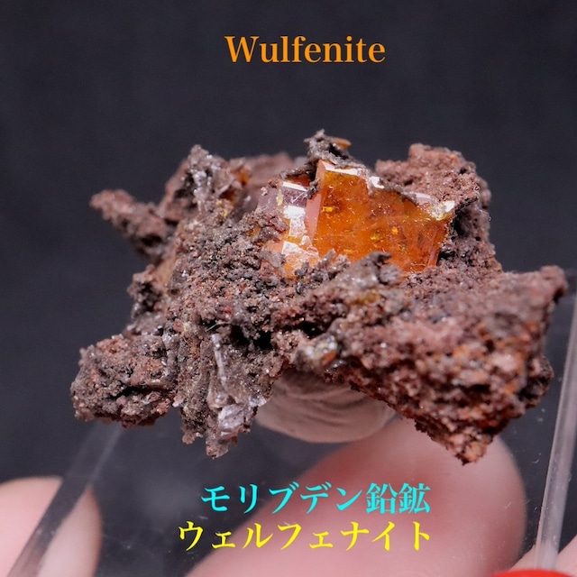 モリブデン鉛鉱 ウェルフェナイト 結晶  9,8g WF117 天然石 鉱物 標本 原石