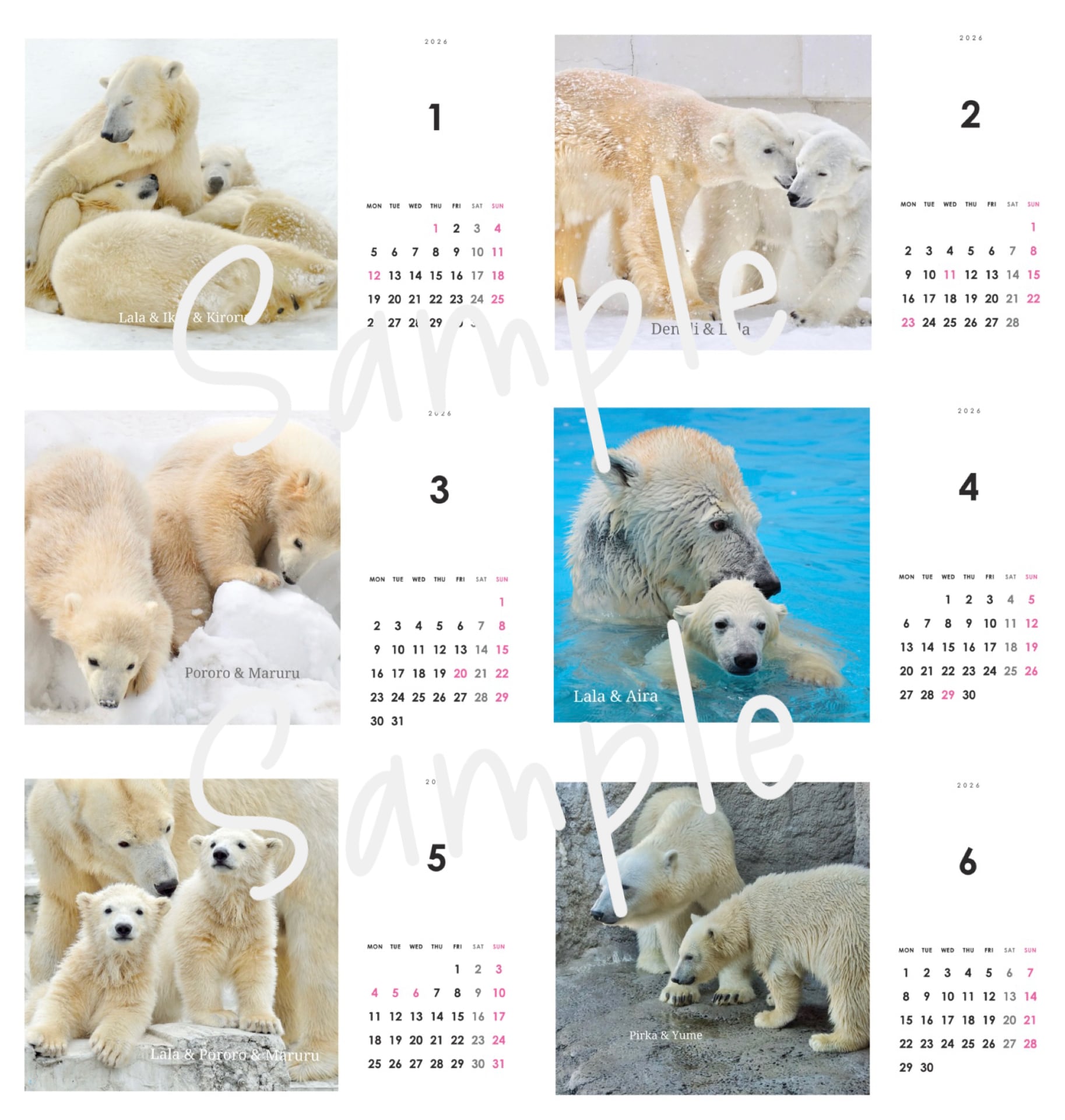 2026年 月曜始まり ホッキョクグマ卓上カレンダー | C-Polar Dreams