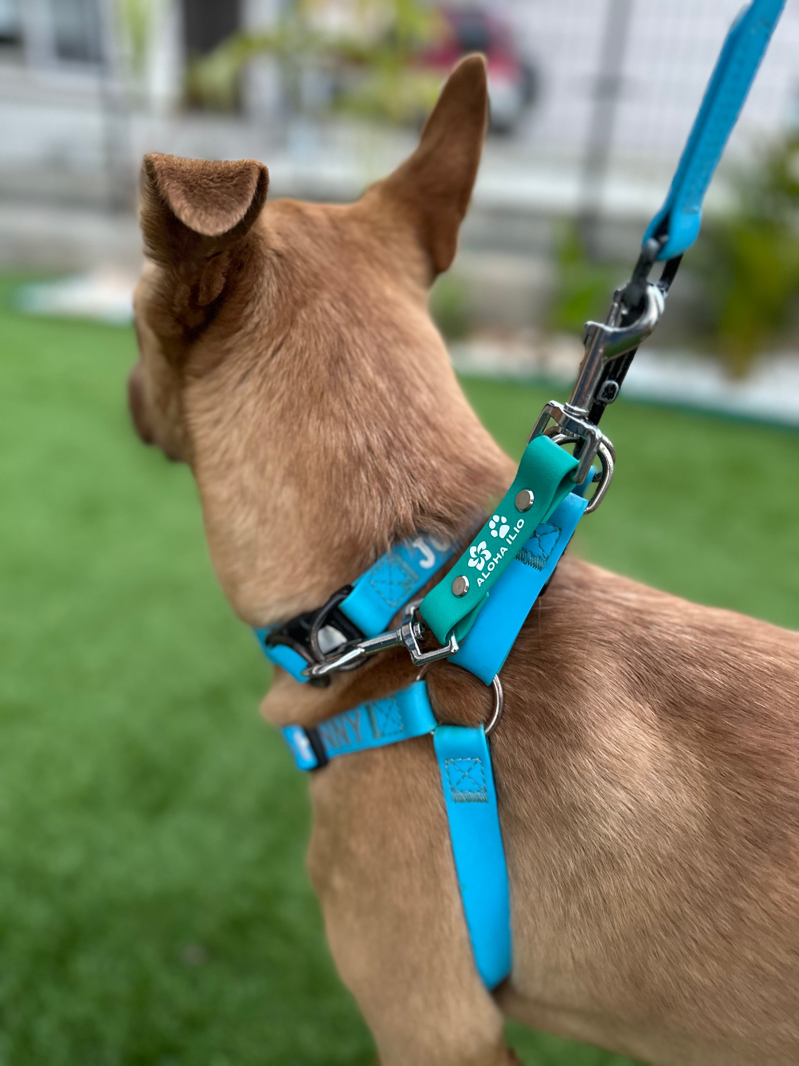 61af35e543092ea8008074cdd1e404