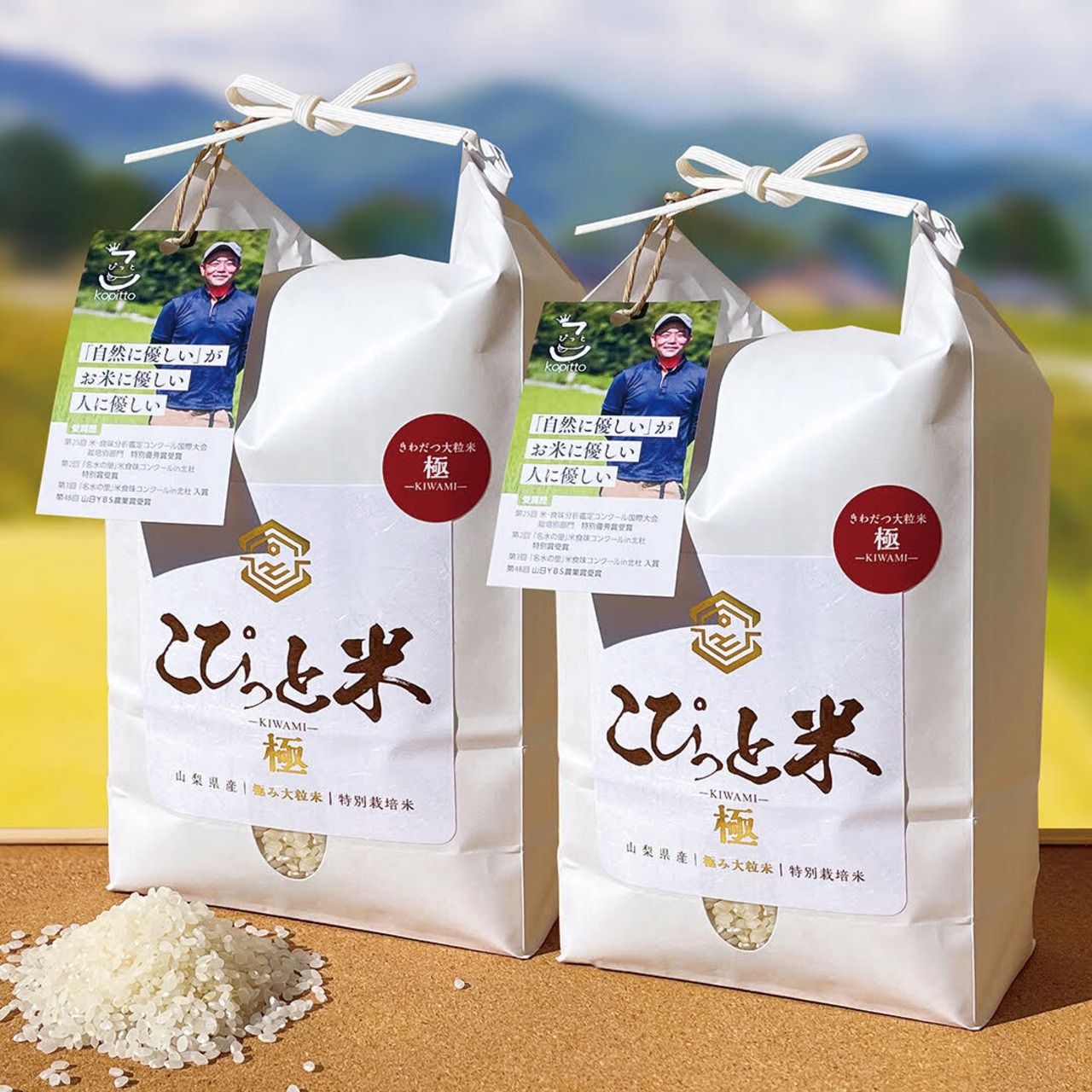 【令和7年産・新米】きわだつ大粒！【極】白米・4kg　特別栽培米　こぴっと米