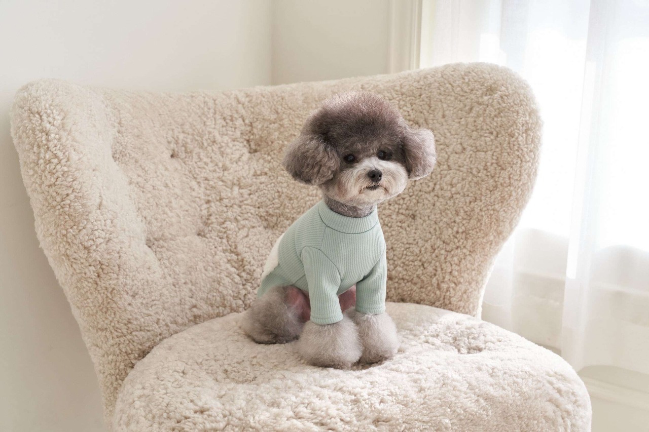 予約【EOMUK MARKET】ファーポケットミンクTシャツ (ミント)