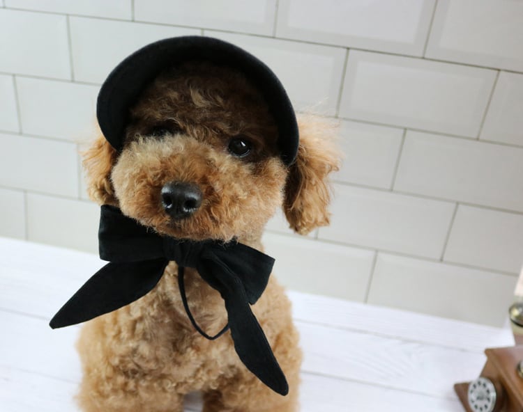 チェックリボンの麦わらカンカン帽 犬用帽子 ペット用帽子