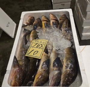 縦切りホッケスティック