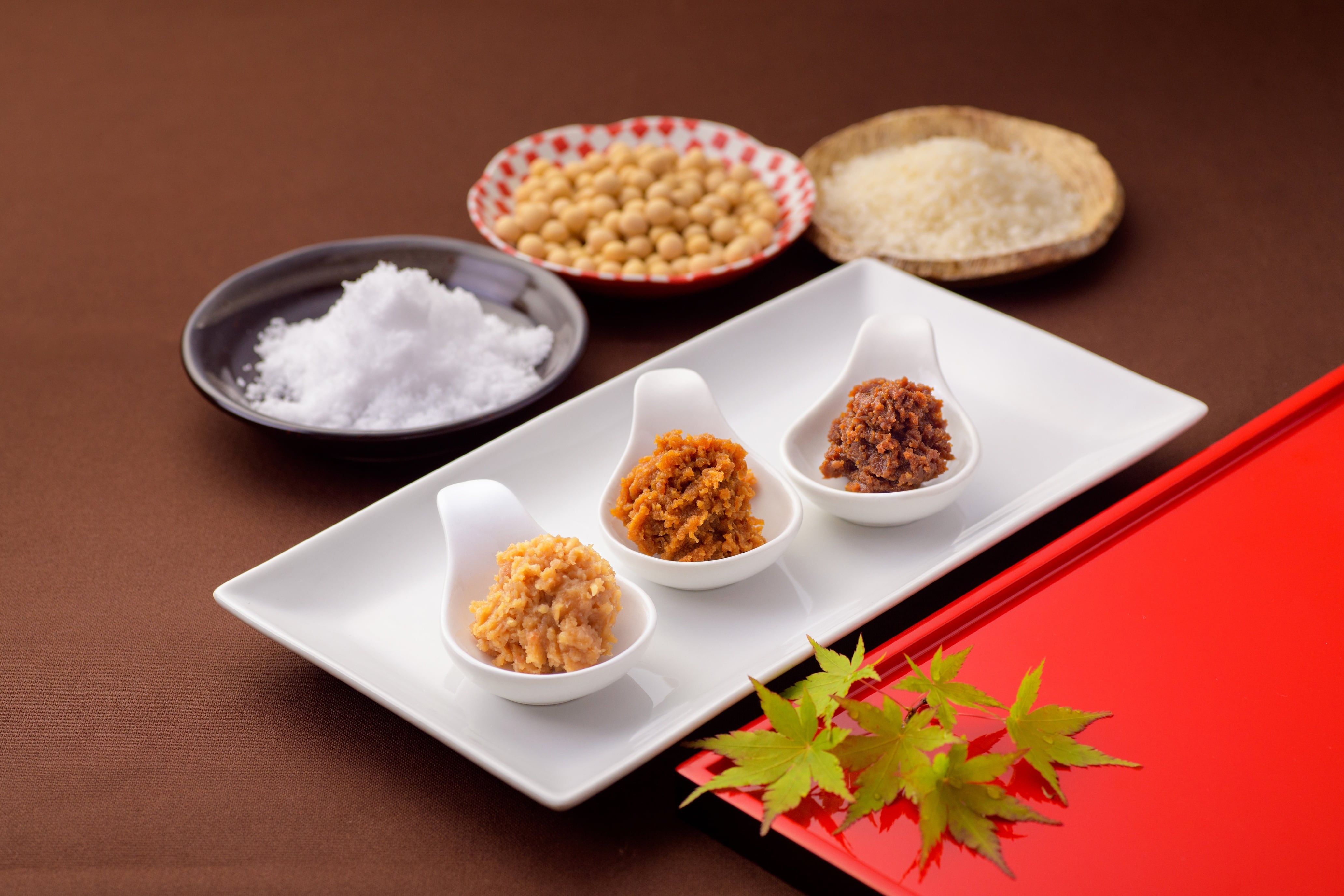 【宮城県石巻市】自分で育てる“本格”味噌キット