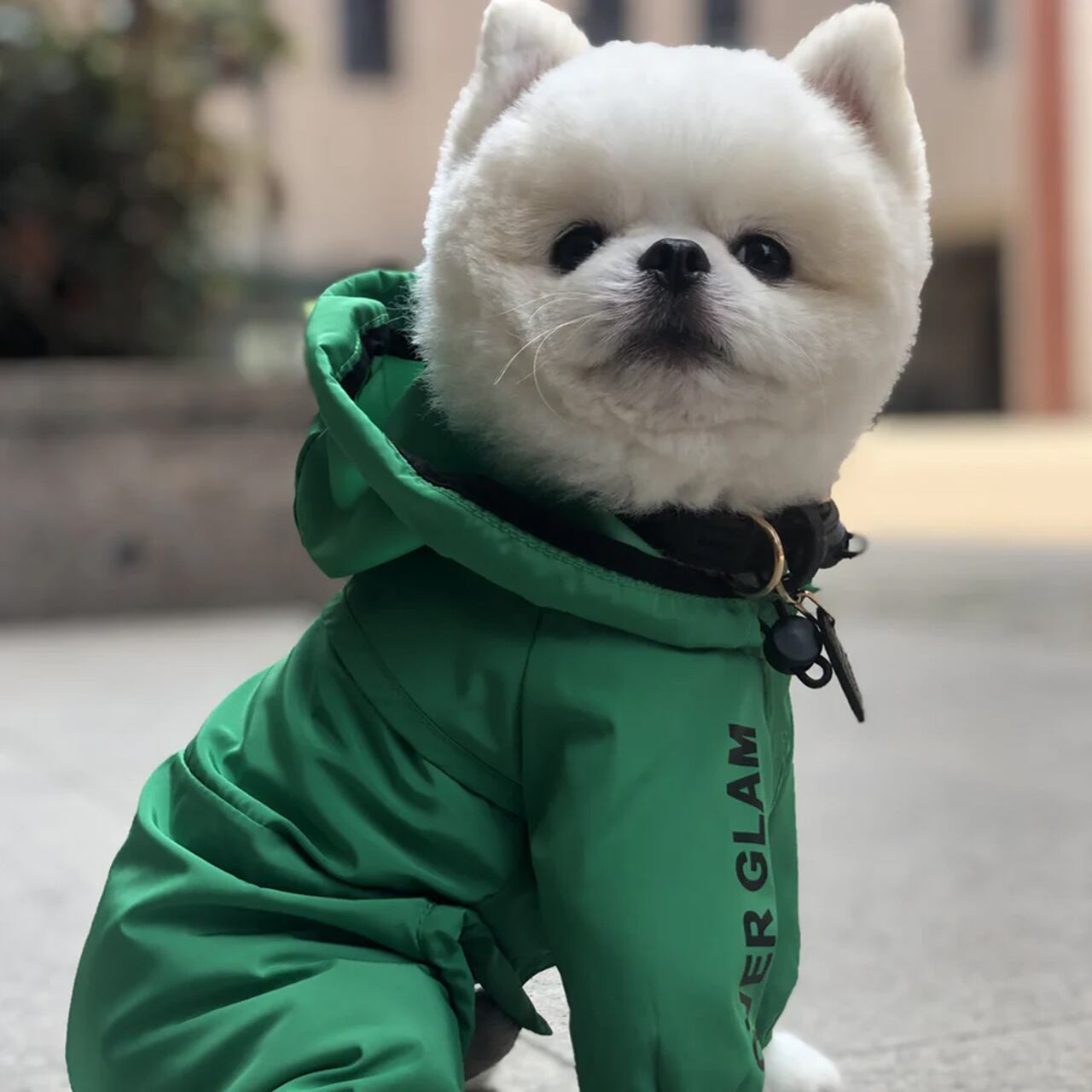 THIN COAT(Green) / OVER GLAM