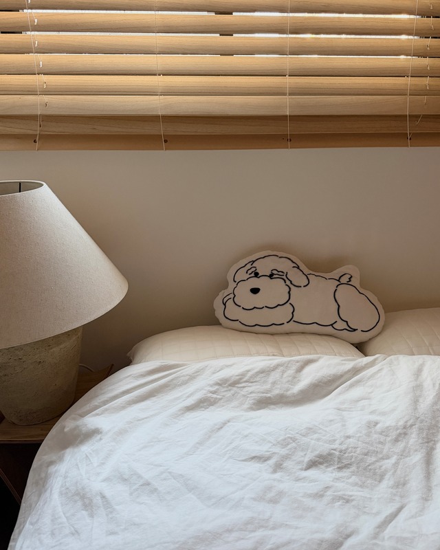 neko key charm/S&P,B&S,L&T