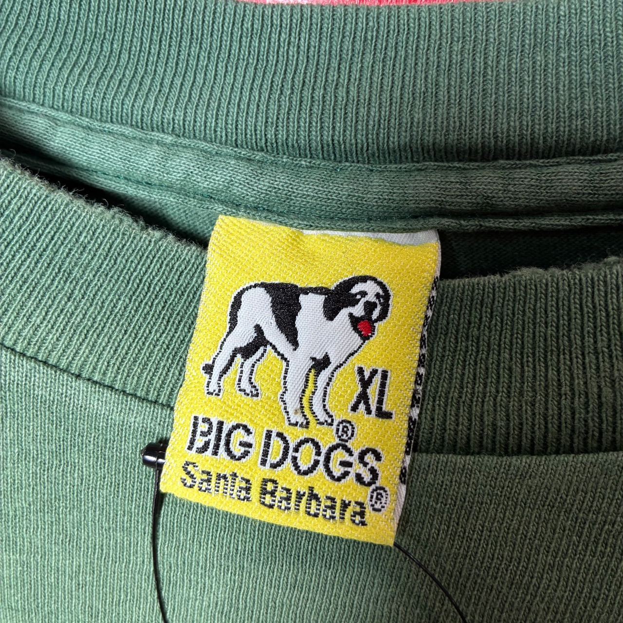 90s USA製　BIG DOGS ヴィンテージTシャツ　フェードグリーン　シングルステッチ