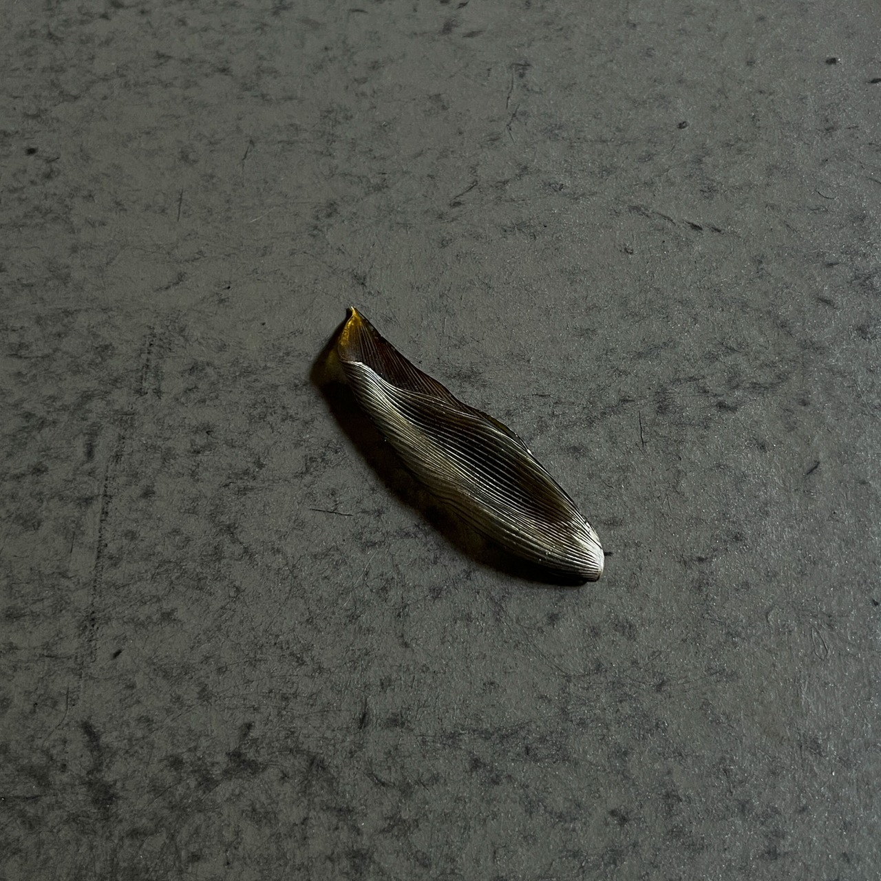 硅砂組 - 散華