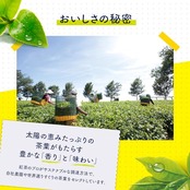 リプトン紅茶 イエローラベル 50 [紅茶 ティーバッグ] 2.0gx50袋
