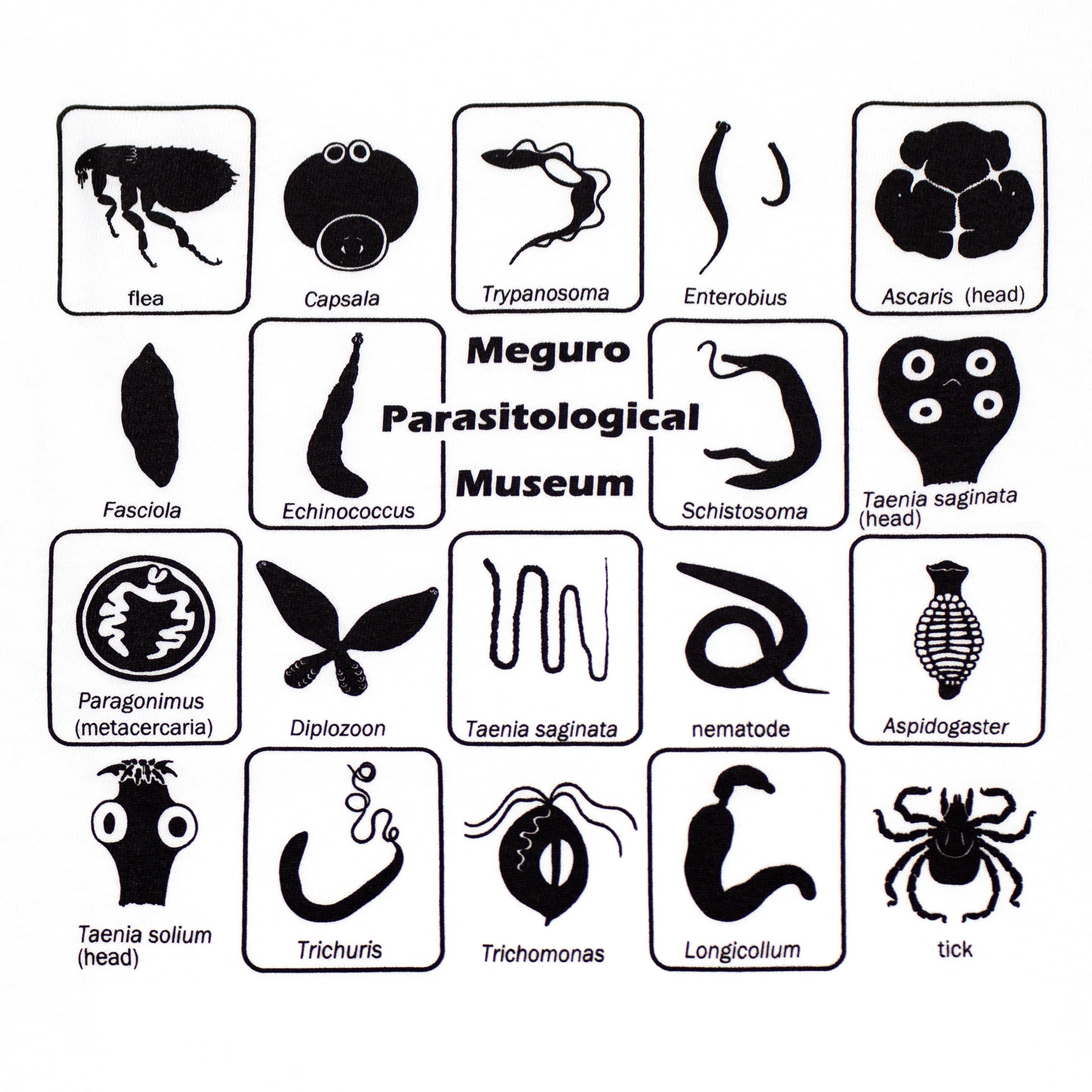 多種寄生虫 Tシャツ | 目黒寄生虫館オリジナルグッズ オンラインショップ