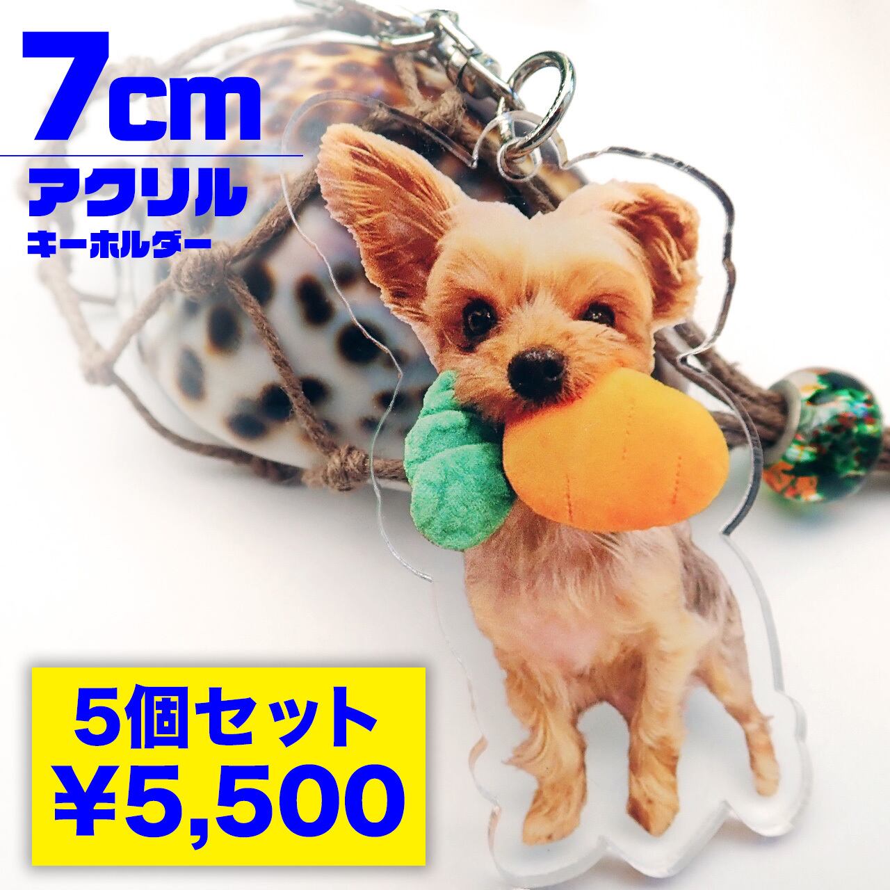 61c59db0d662839f181b59fe7620da