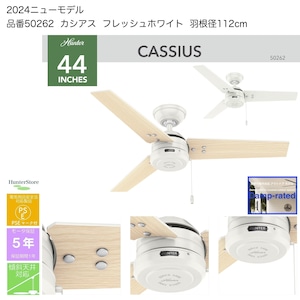 カシアス　フレッシュホワイト【壁ｺﾝﾄﾛｰﾗ･36㌅91cmﾀﾞｳﾝﾛｯﾄﾞ付】