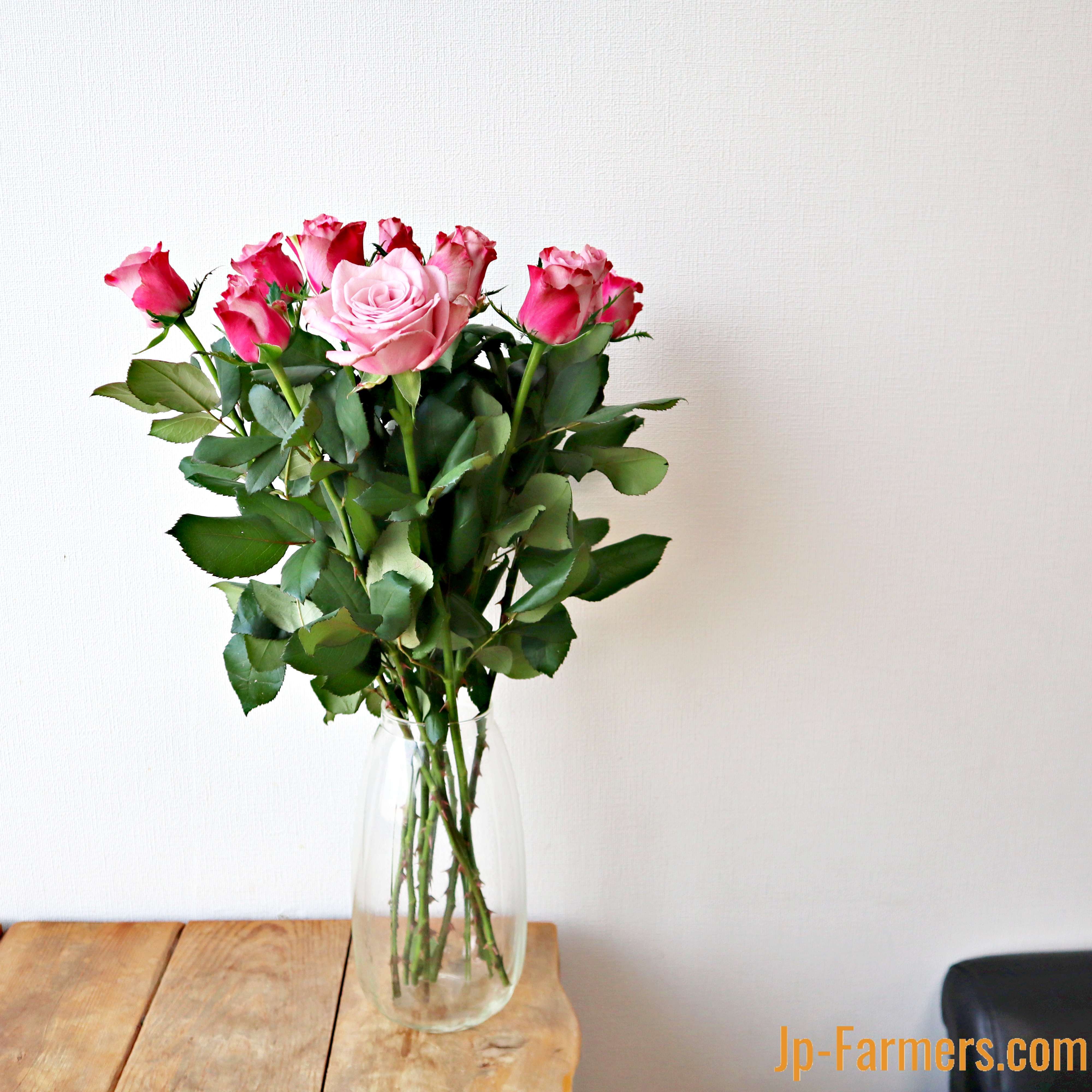 Fujiwara農園 バラ インフューズドピンク 10本 | 新鮮お花問屋 Jp